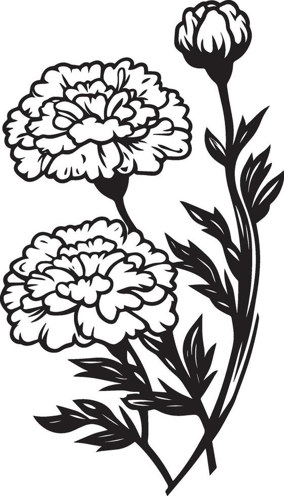 a black and white drawing of a flower vector