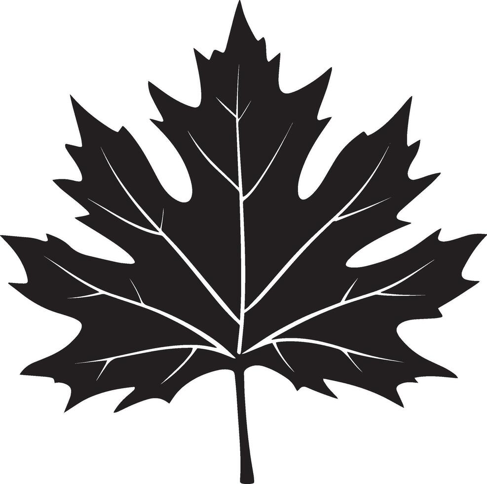 a black maple leaf silhouette vector