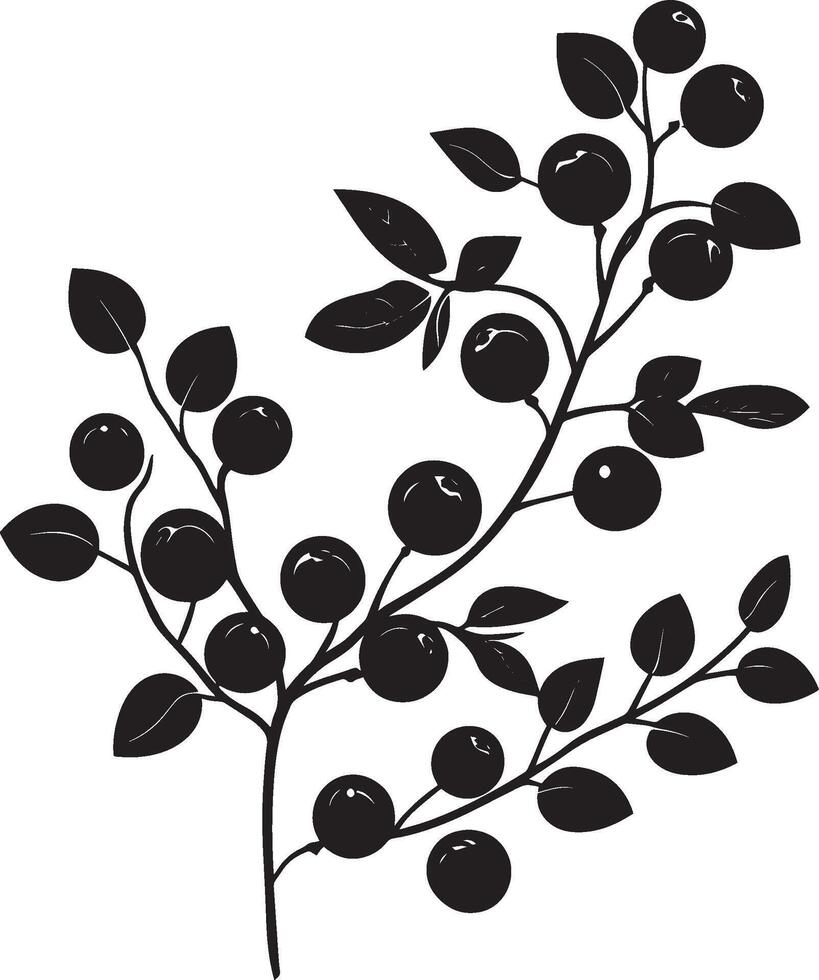 Branch with cranberries clean simple silhouette black vector