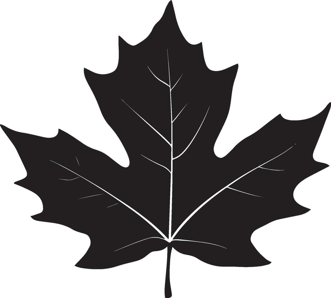 Autumn leaf clean simple icon silhouette black vector
