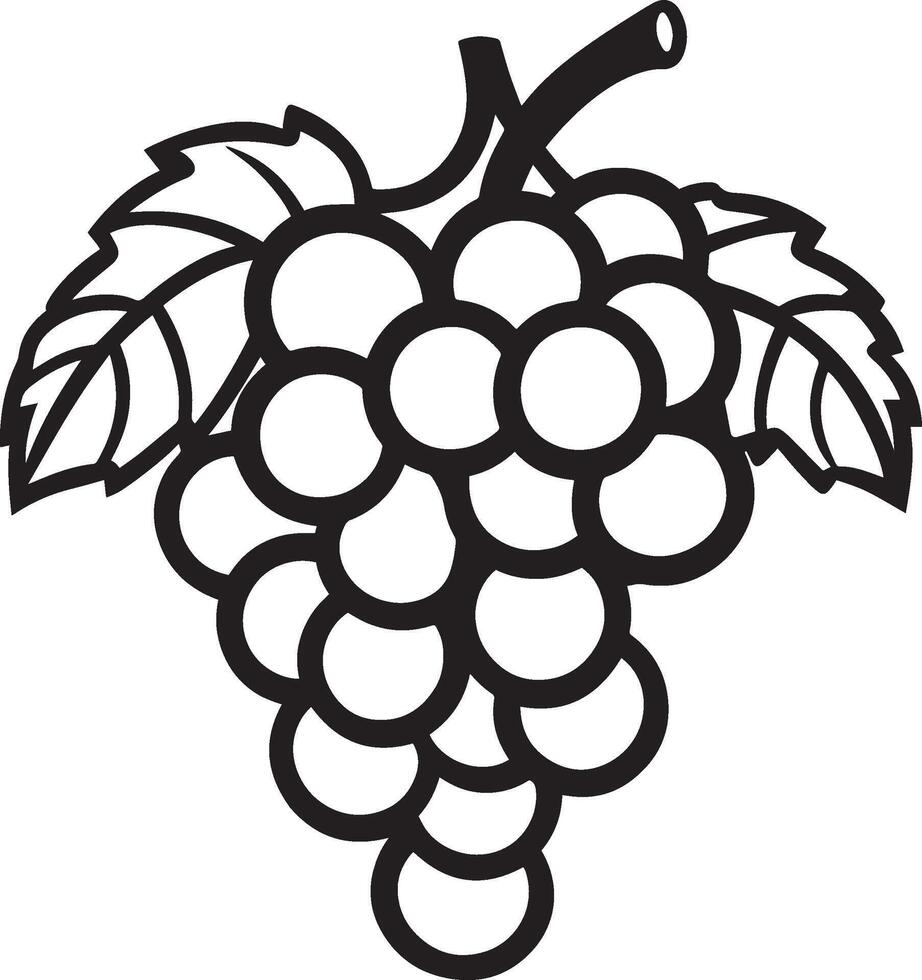 Grape fruit clean simple icon outline black vector
