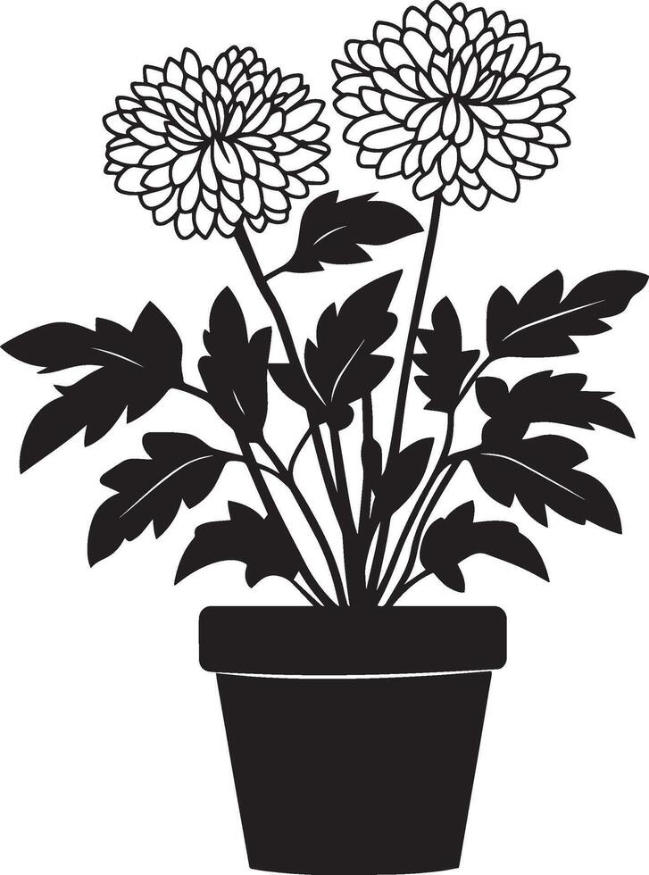 Chrysanthemum flowers clean simple icon silhouette black vector