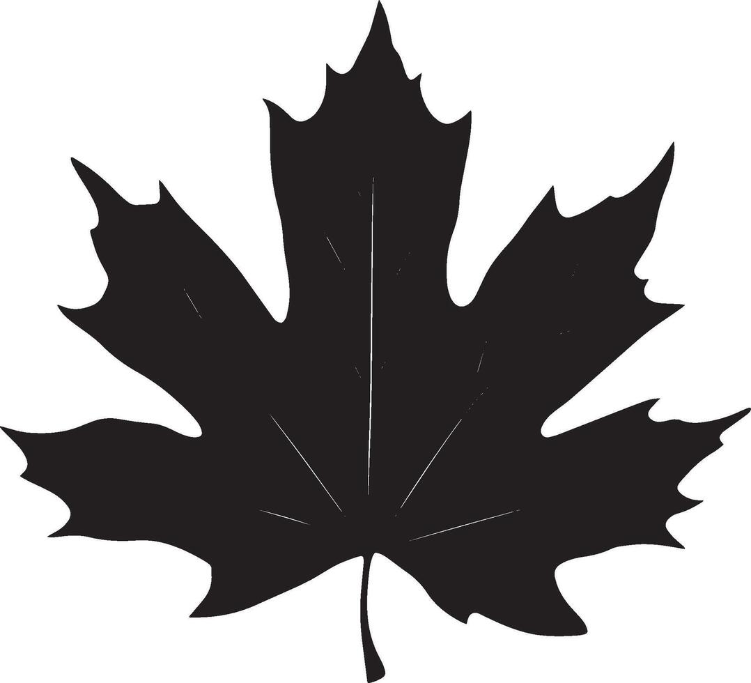 a black illustration of a maple leaf vector