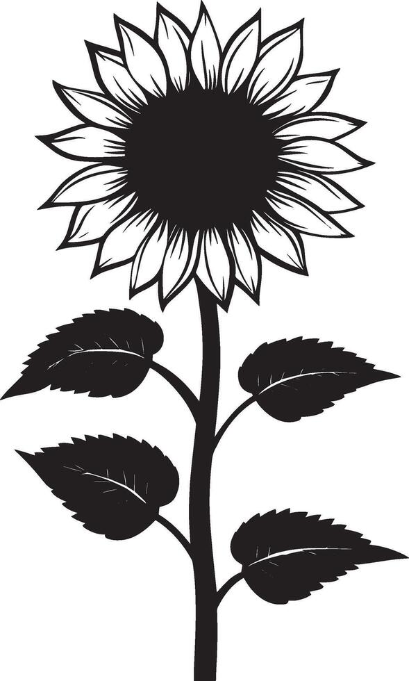 a black and white sunflower with leaves vector