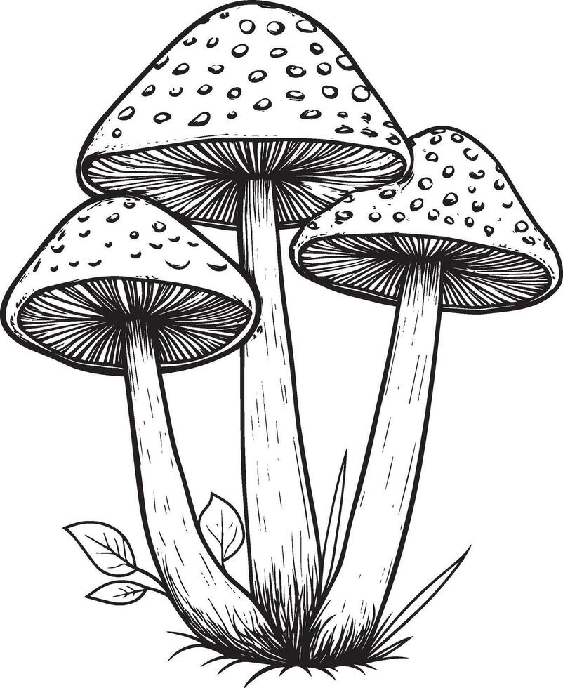 Red fly agarics clean simple linear outline black vector