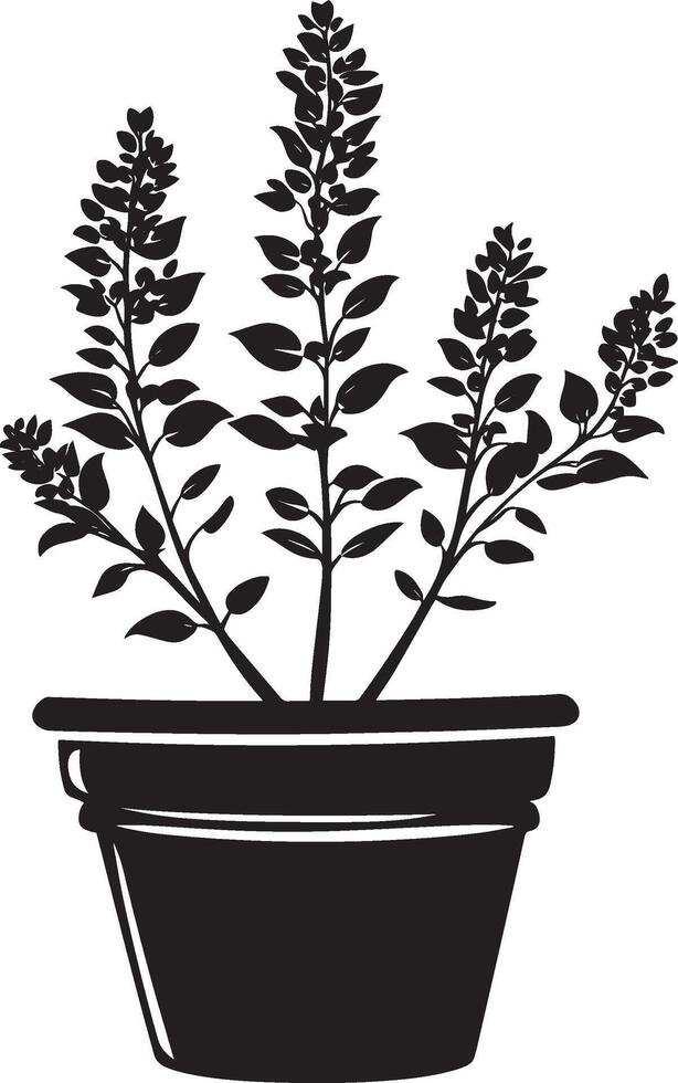 Heather flower in pot clean simple silhouette black vector