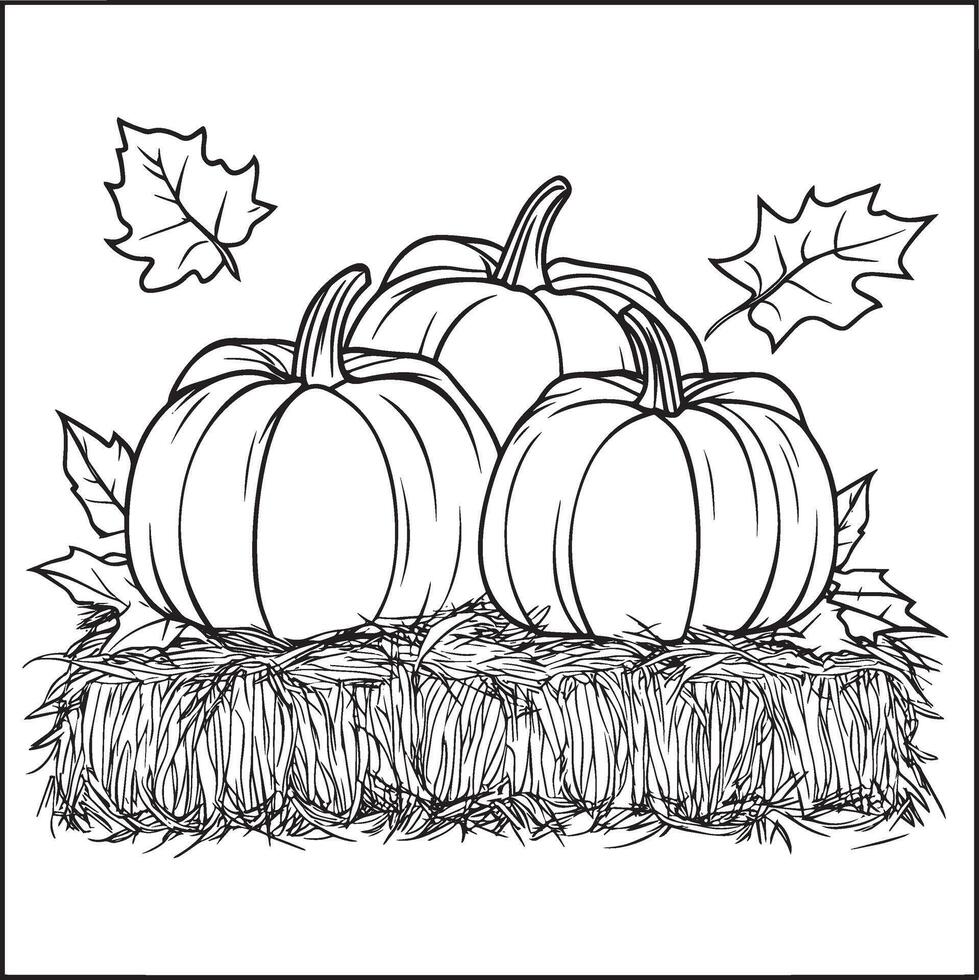 Pumpkins on hay bale with autumn leaves clean simple linear outline black vector