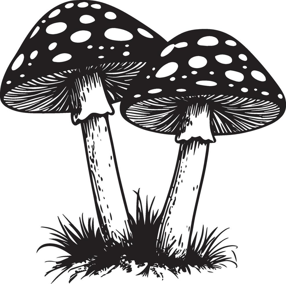Red fly agarics clean simple icon outline black vector
