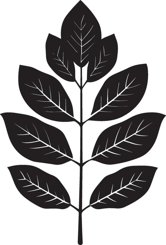 ash leaf clean simple icon silhouette black vector