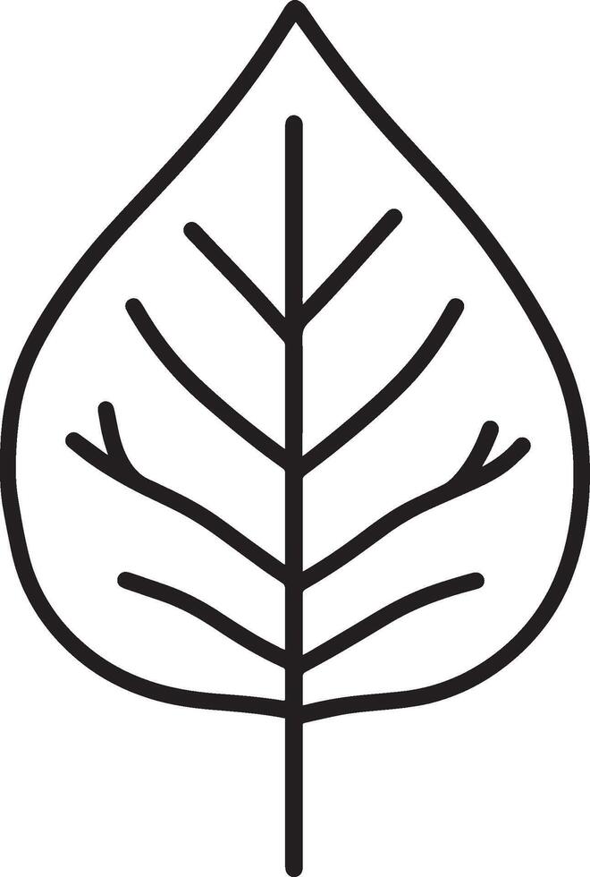 poplar leaf clean simple icon outline black vector