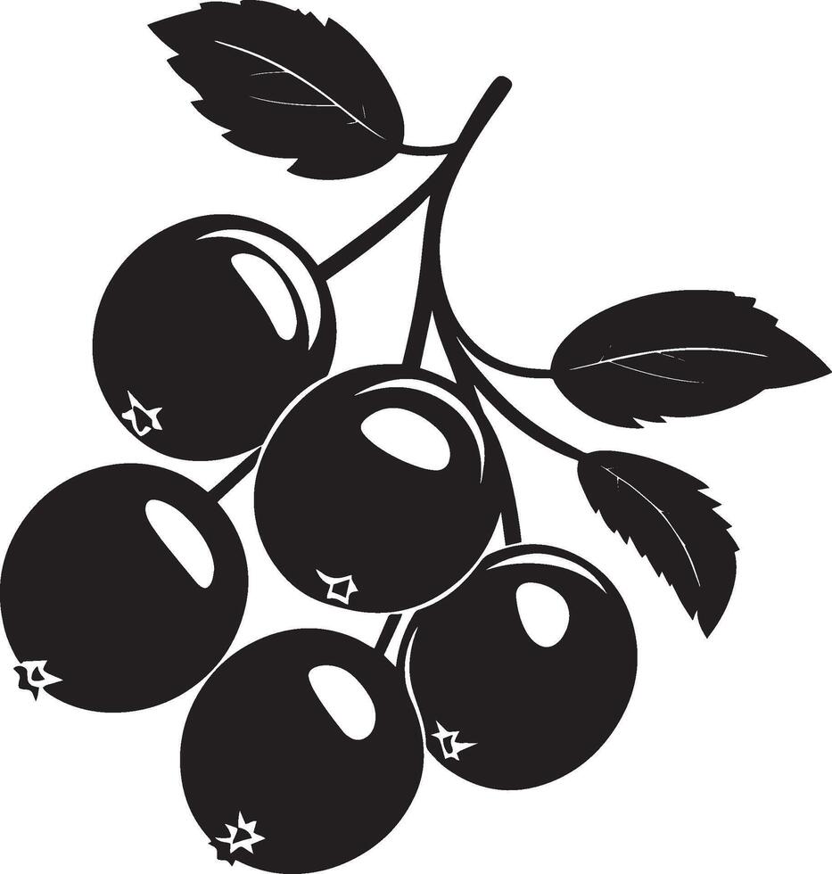 cranberries clean simple icon silhouette black vector