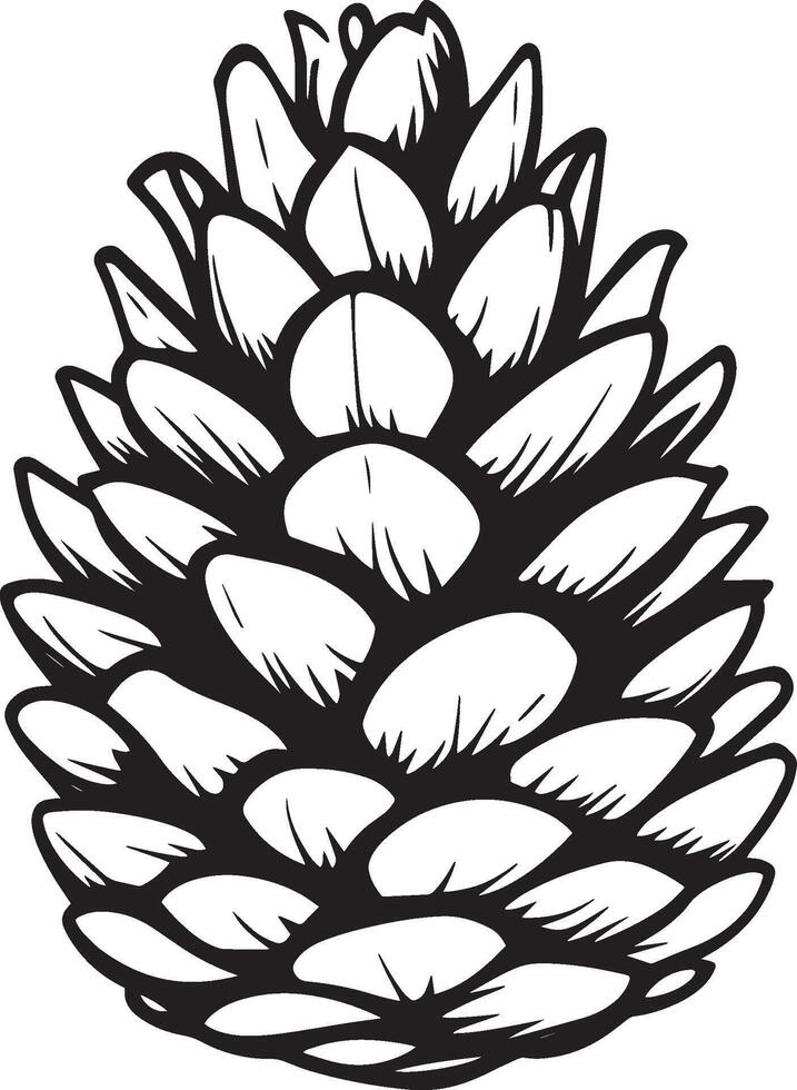 Pine cone clean simple linear outline black vector