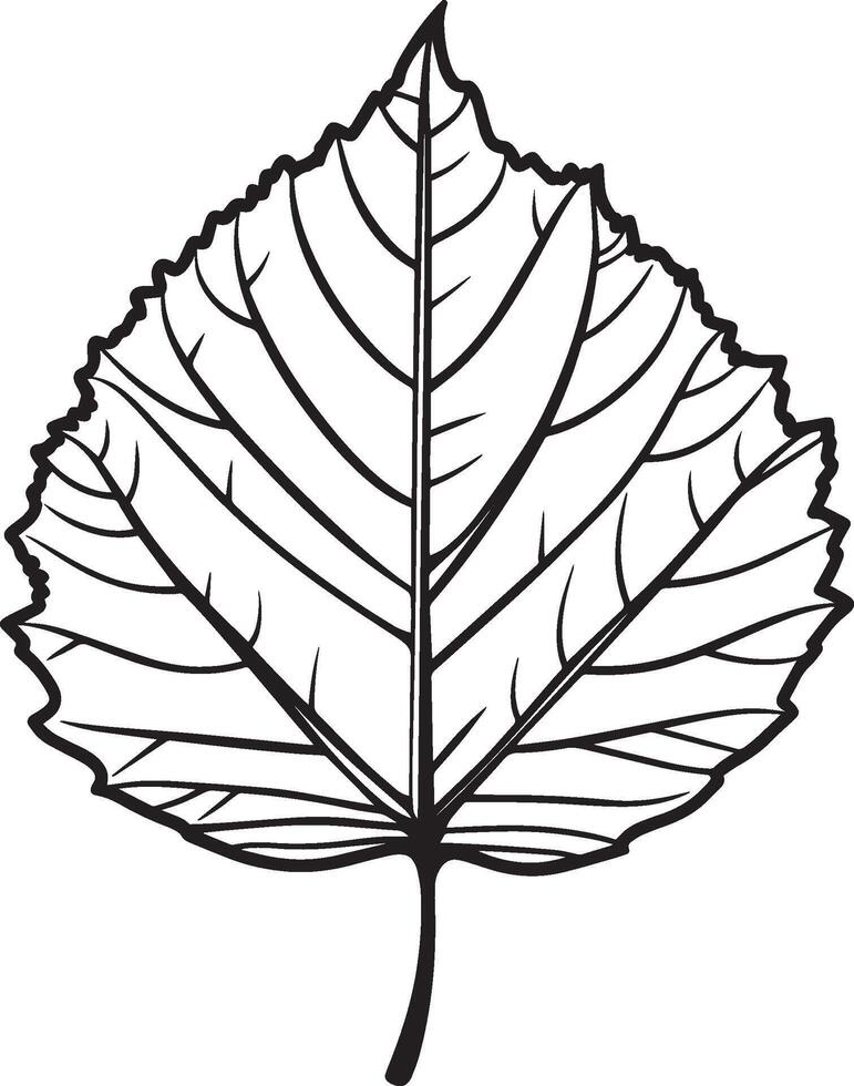 Autumn leaf clean simple linear outline black vector