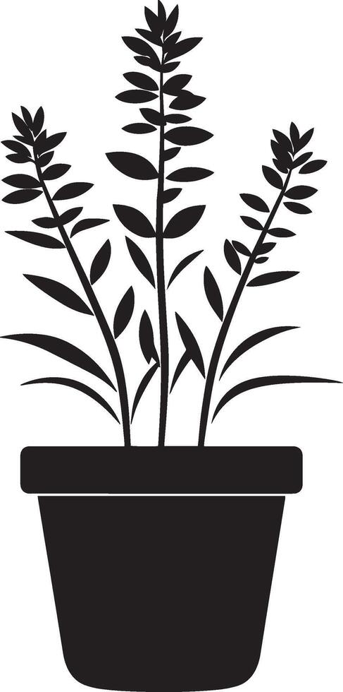 Heather flower in pot clean simple icon silhouette black vector
