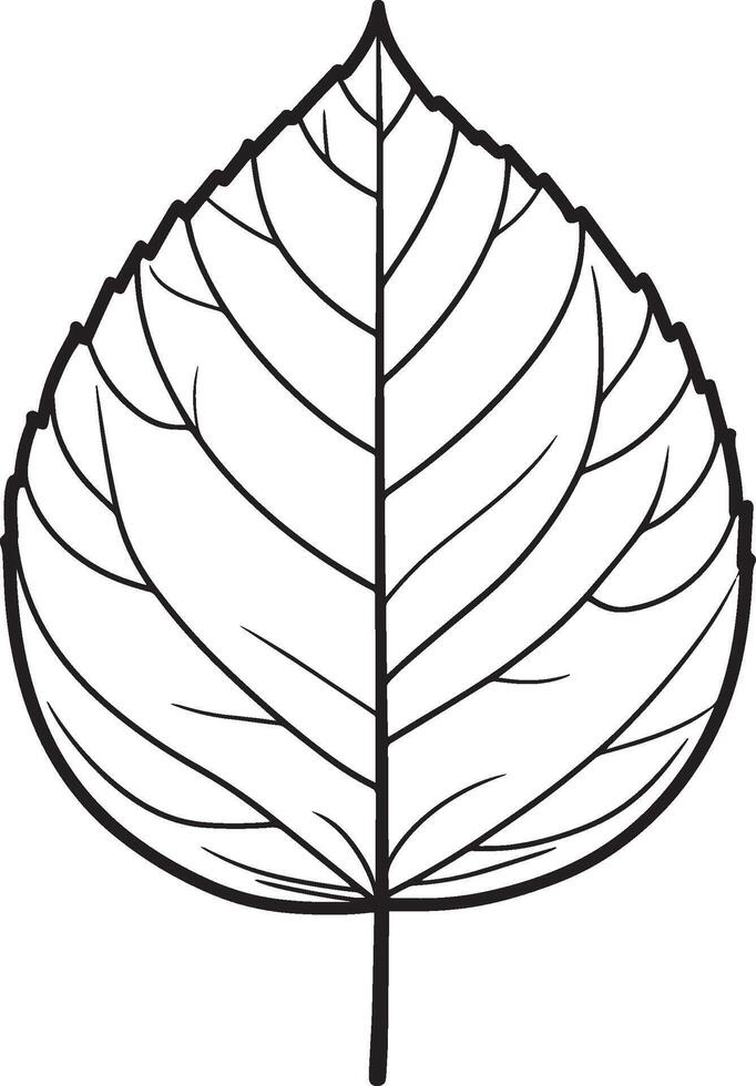 Mapble leaf clean simple linear outline black vector