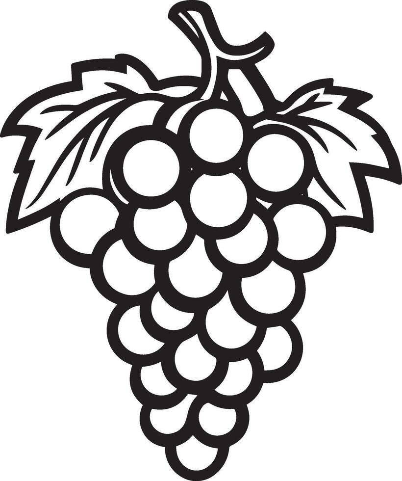 Grape fruit clean simple linear outline black vector