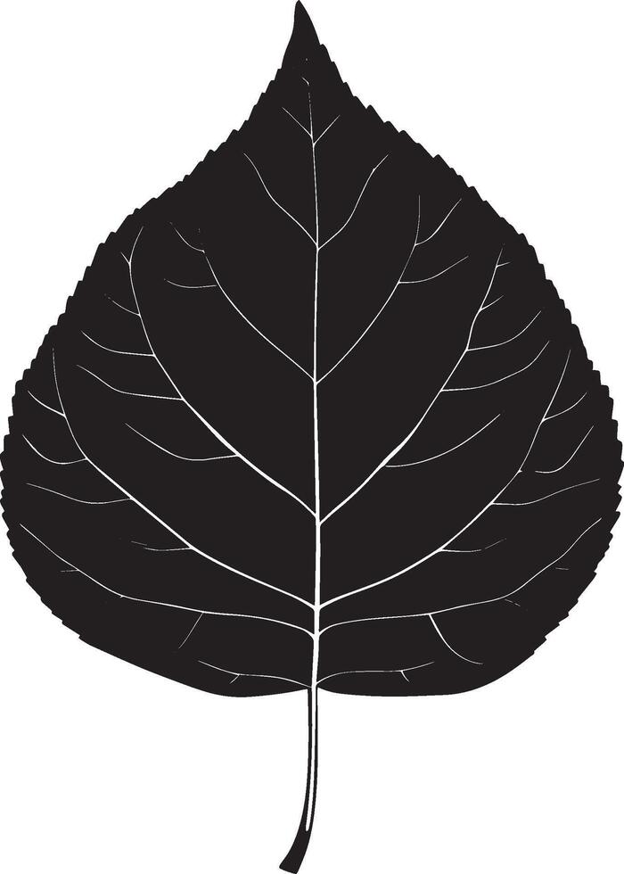 poplar leaf clean simple silhouette black vector