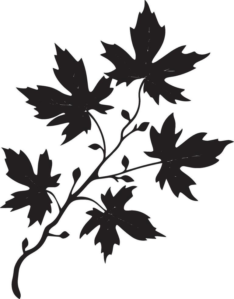 Maple branch with leaves clean simple icon silhouette black vector