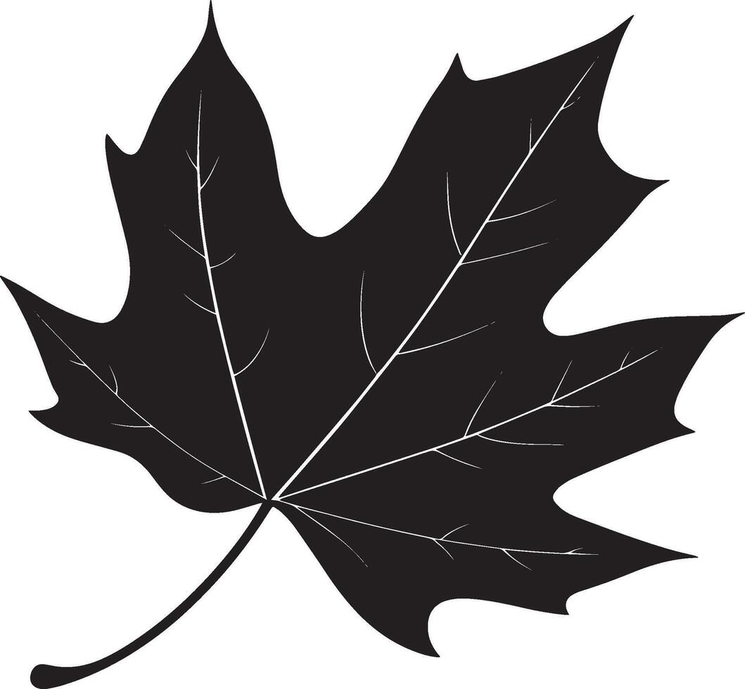 Autumn leaf clean simple silhouette black vector