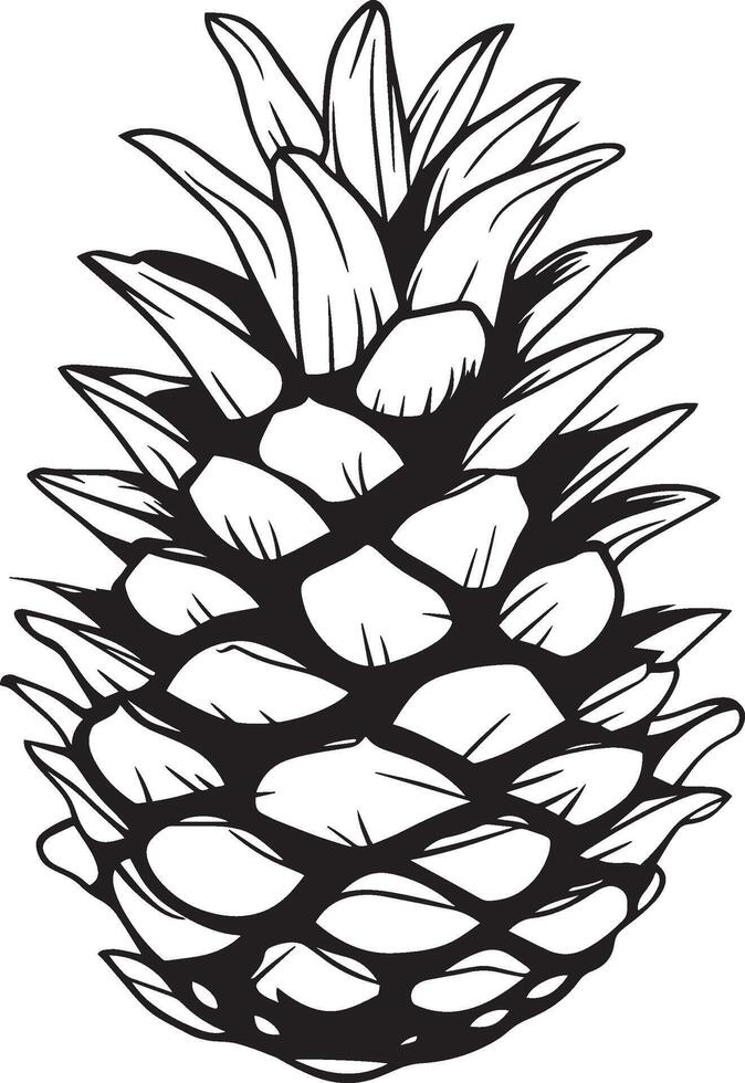Pine cone clean simple linear outline black vector