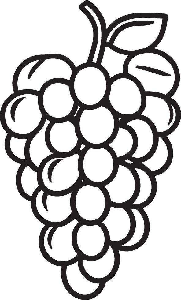 Grape fruit clean simple linear outline black vector