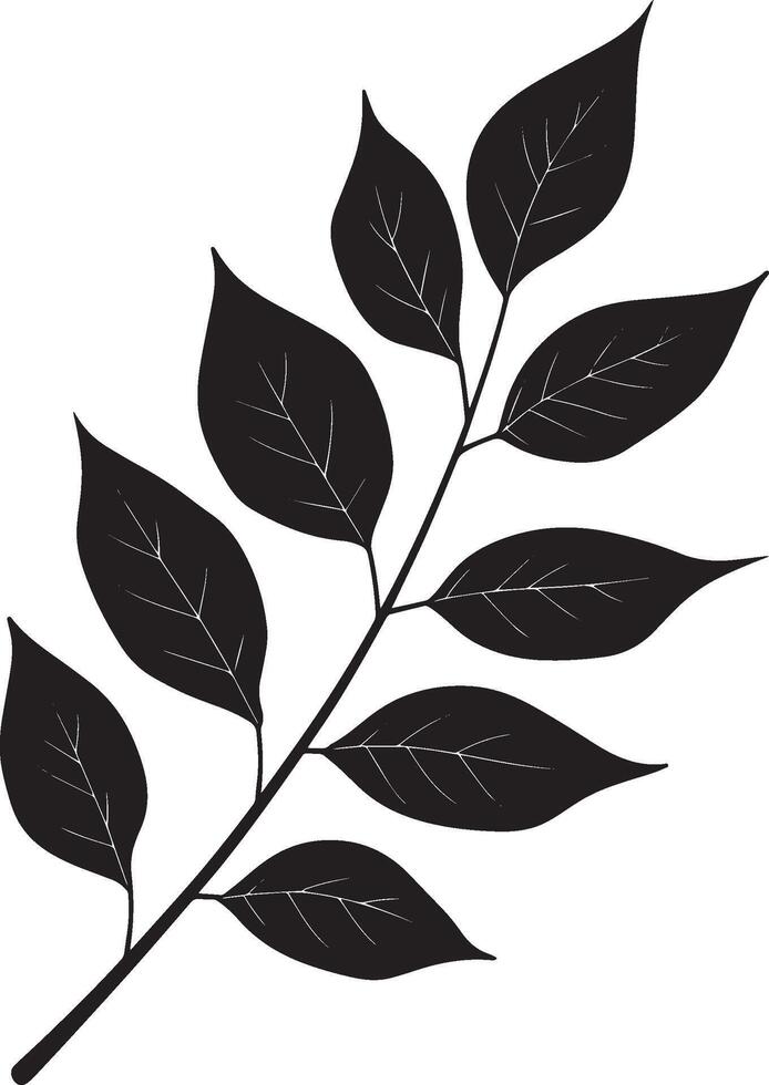 ash leaf clean simple silhouette black vector