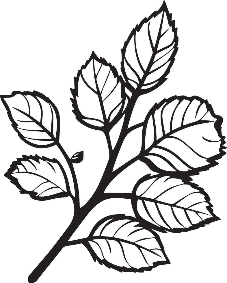 Autumn branch clean simple icon outline black vector