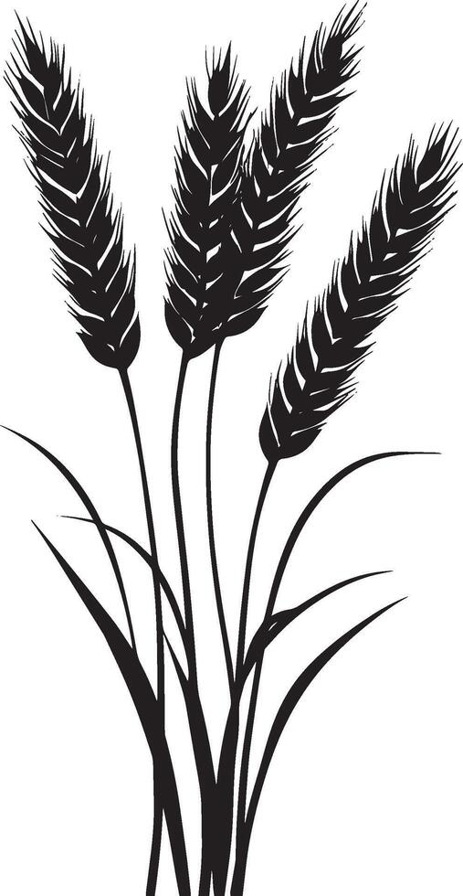 Bunch of wheat ears clean simple silhouette black vector