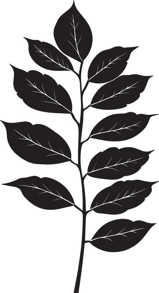rowan tree leaf clean simple silhouette black vector