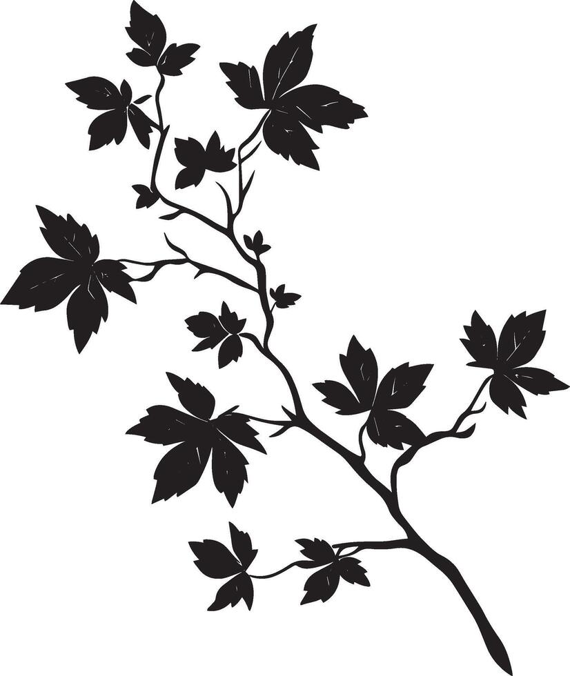 Maple branch with leaves clean simple silhouette black vector