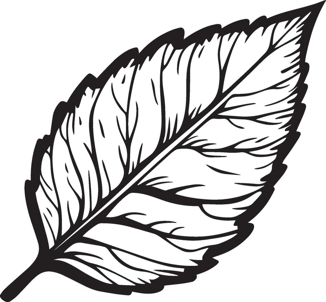 Autumn leaf clean simple icon outline black vector