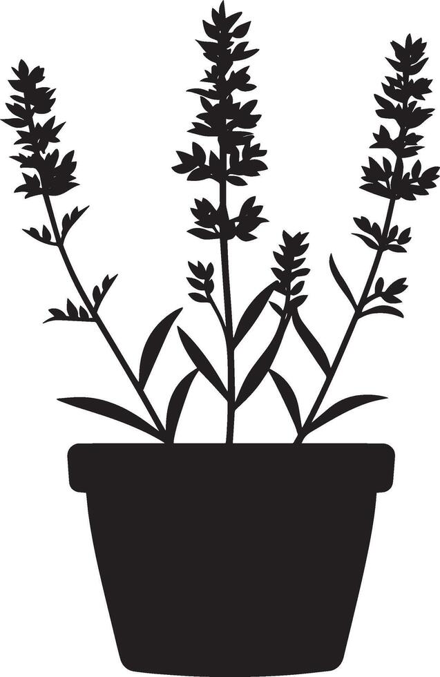 Heather flower in pot clean simple icon silhouette black vector
