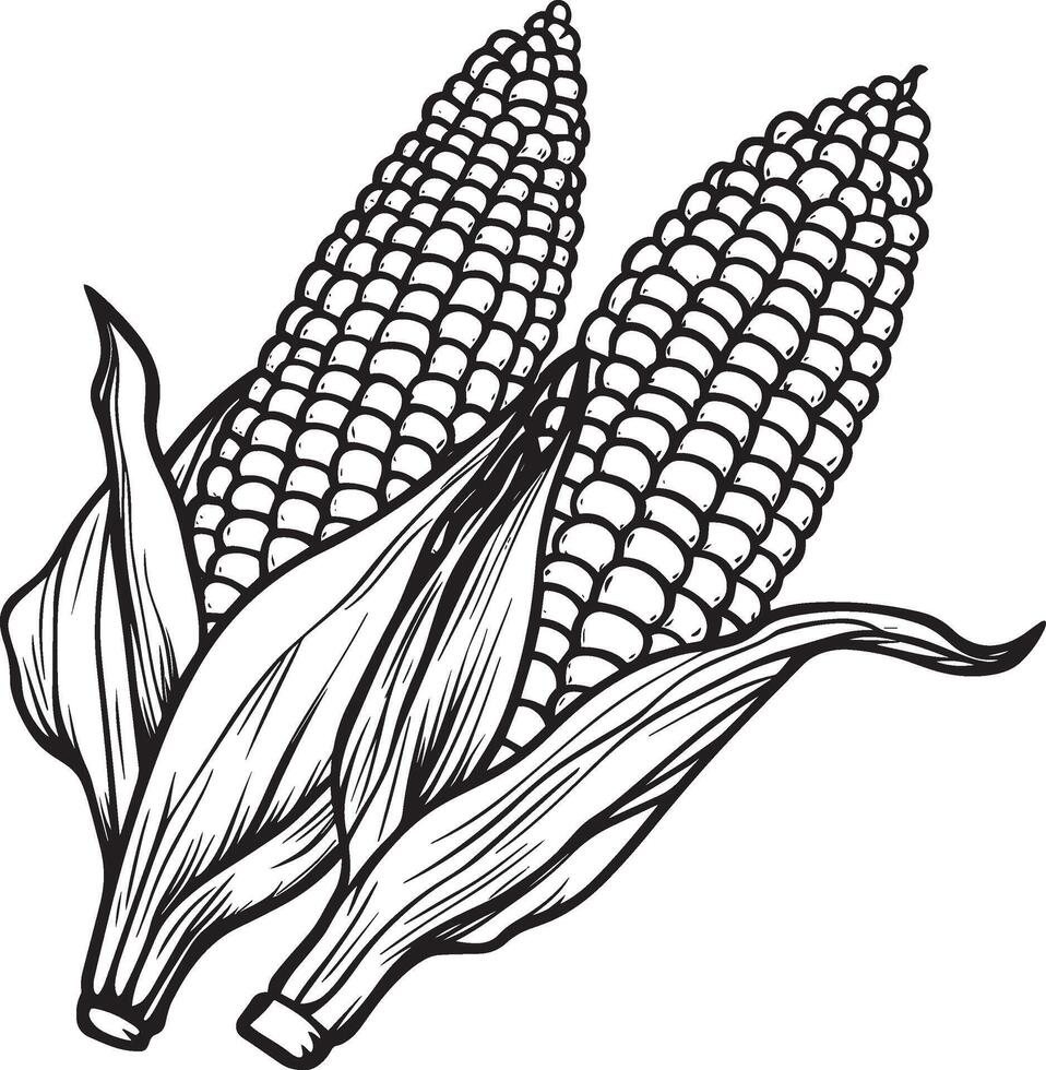 Corn clean simple linear outline black vector
