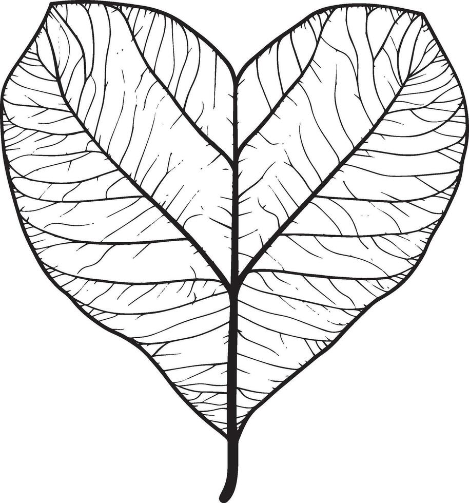 Heart shaped autumn leaf clean simple linear outline black vector