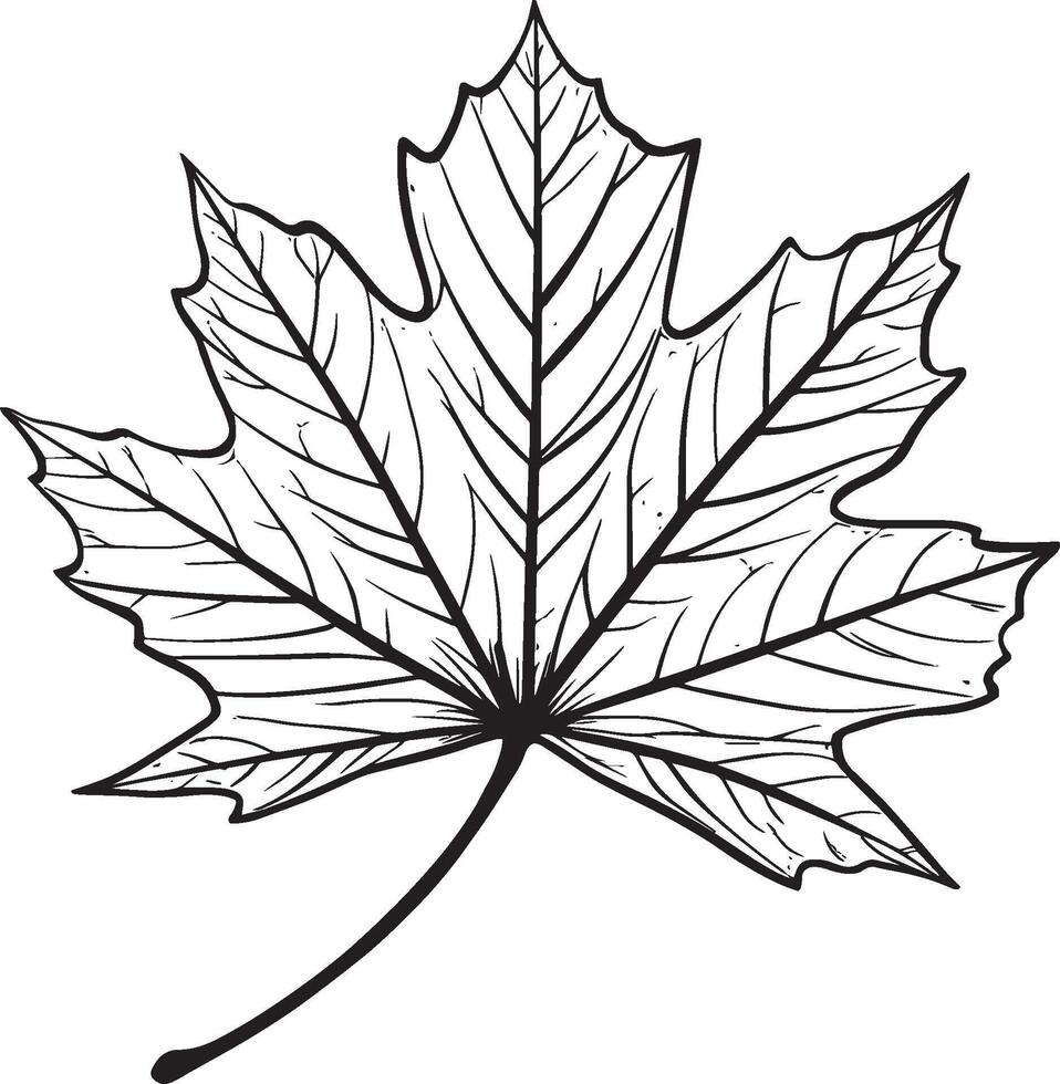 Autumn leaf clean simple linear outline black vector