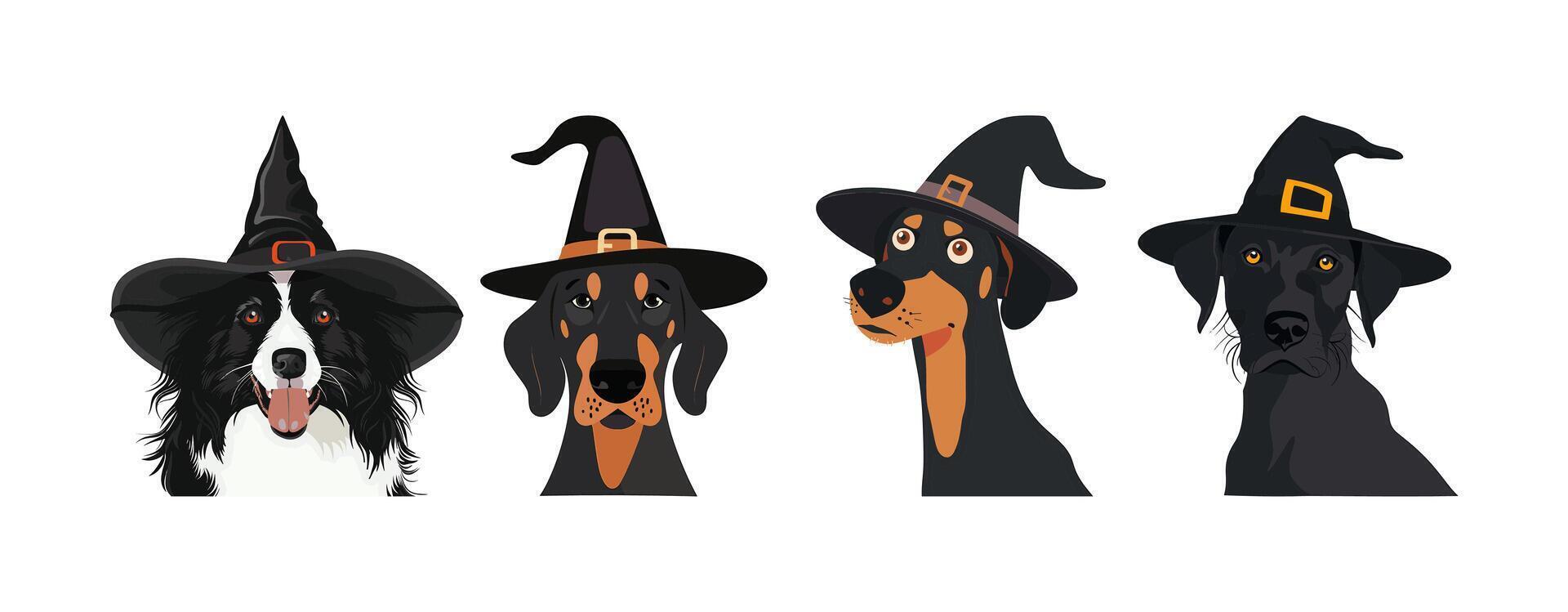 Dog wearing witch hat on a white background vector