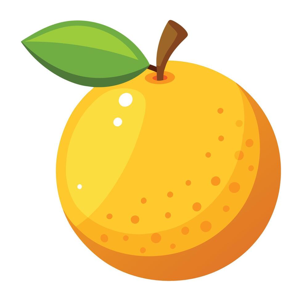 Orange fruit white background vector