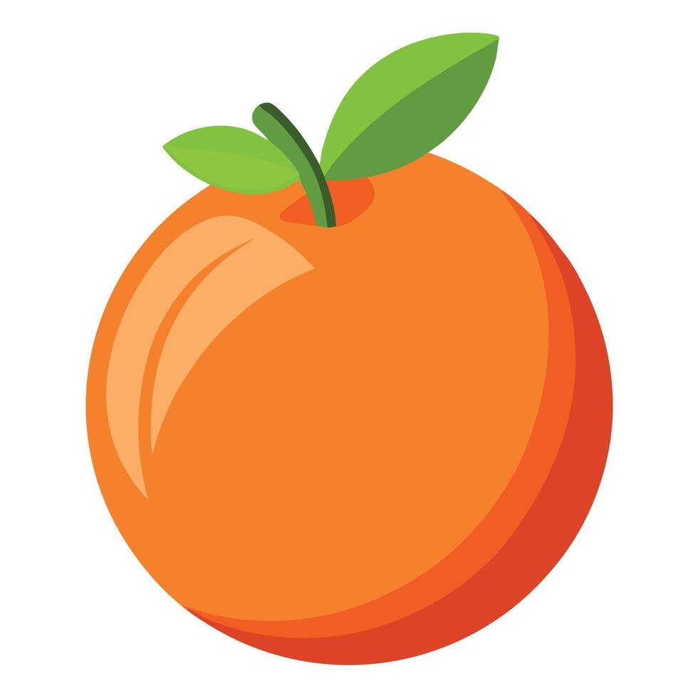 An orange is shown on a white background vector