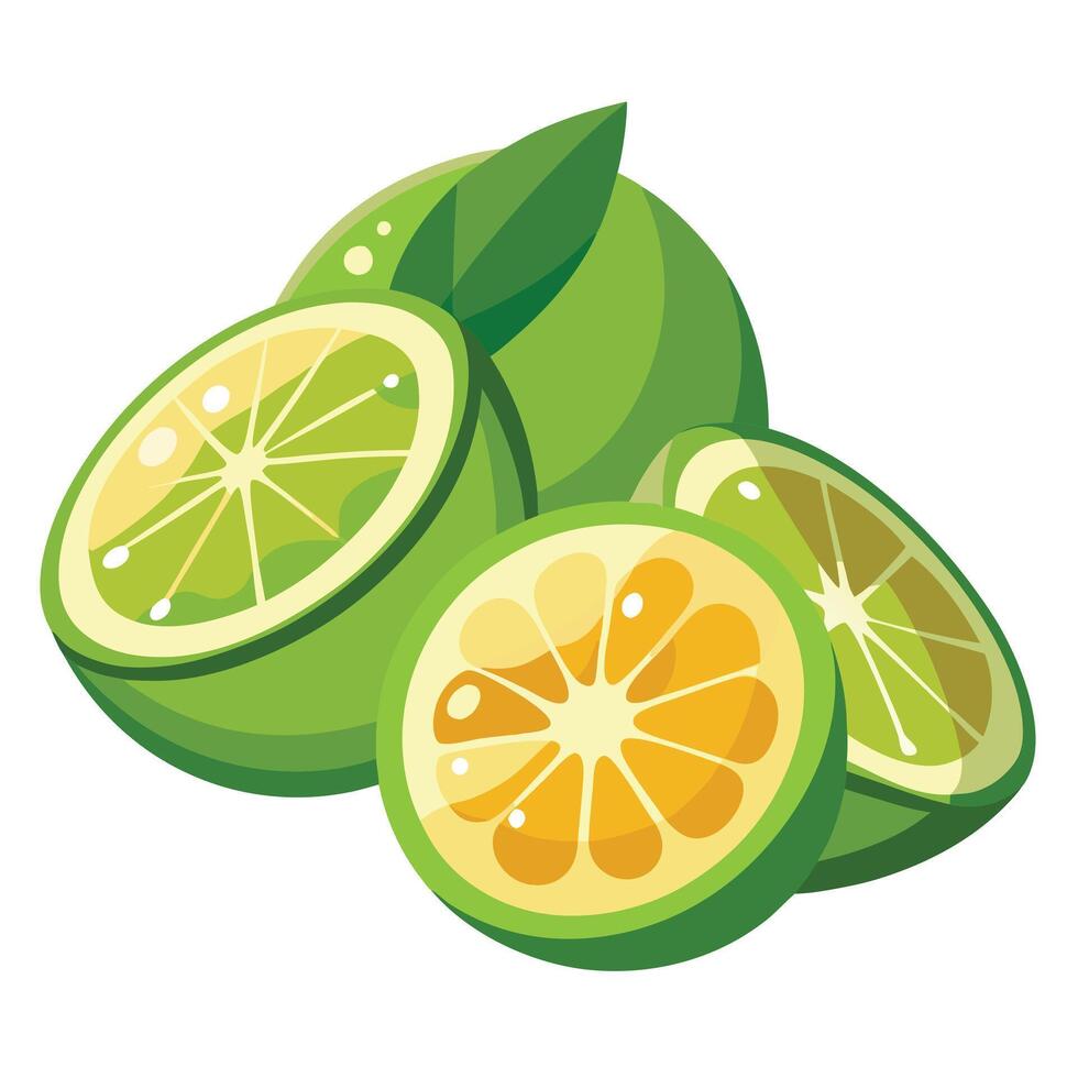 Lime illustration white background vector