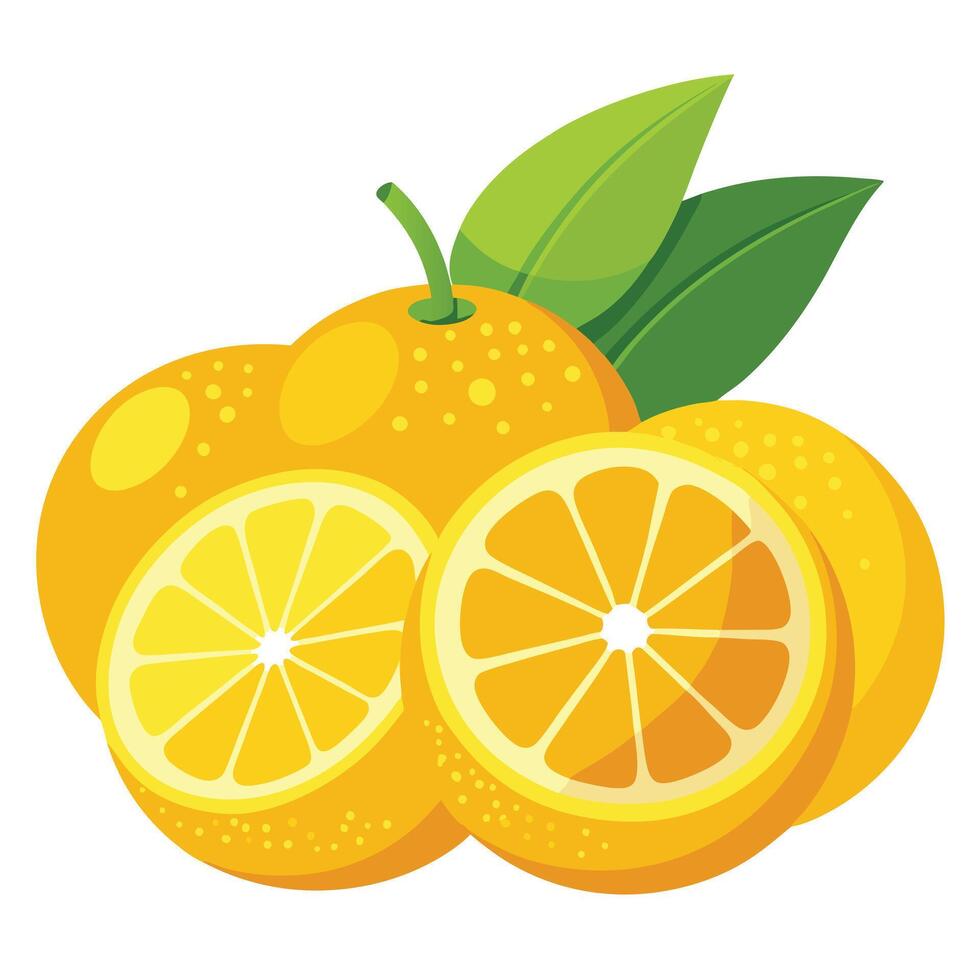 Orange illustration white background vector