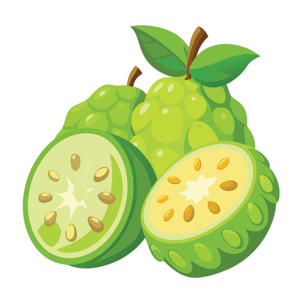 A green fruit with a green leaf on it vector