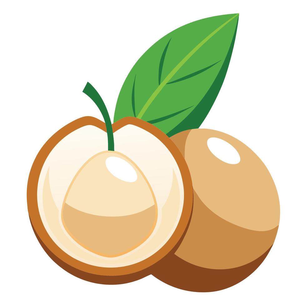 An illustration of a nut with leaves vector