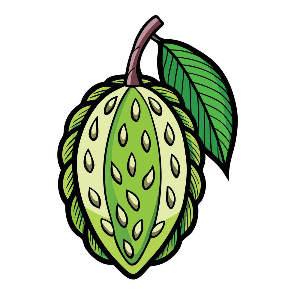 Cocoa pod with leaves and green fruit illustration vector