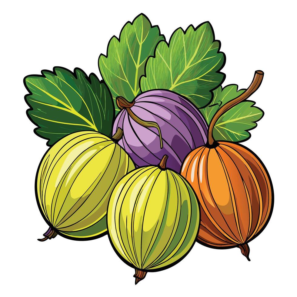 illustration of a bunch of gooseberries vector