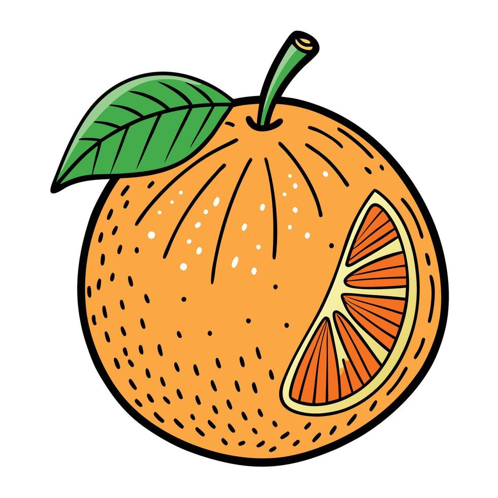 Orange fruit illustration vector