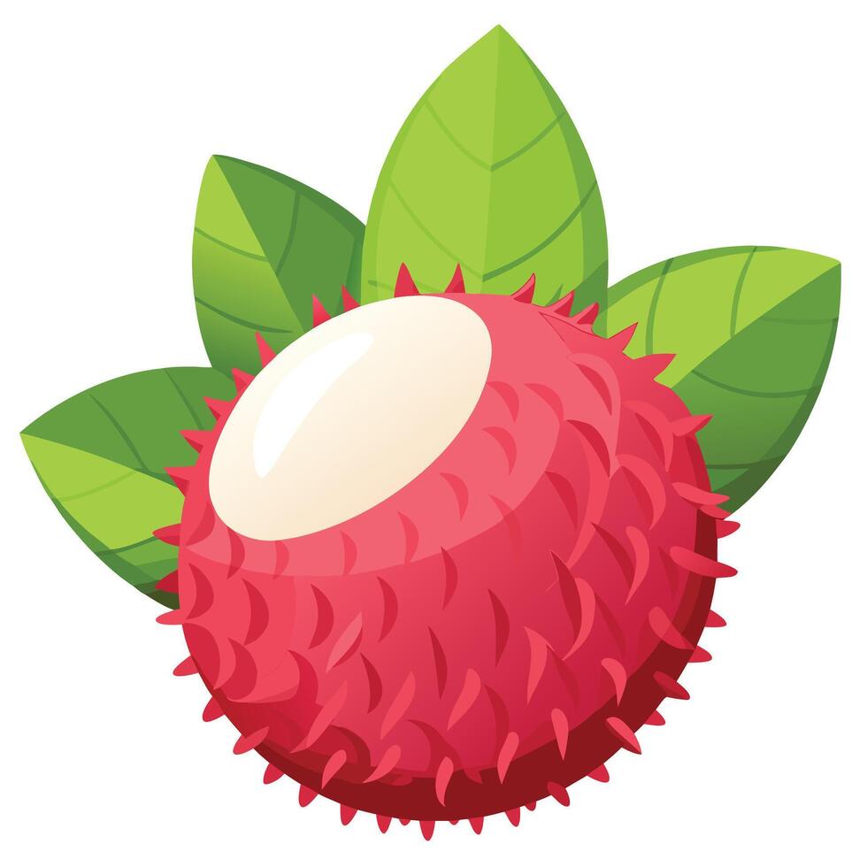 A red rambutan fruit with leaves on a white background vector