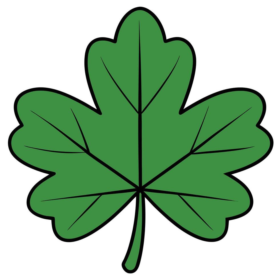 A green leaf on a white background vector