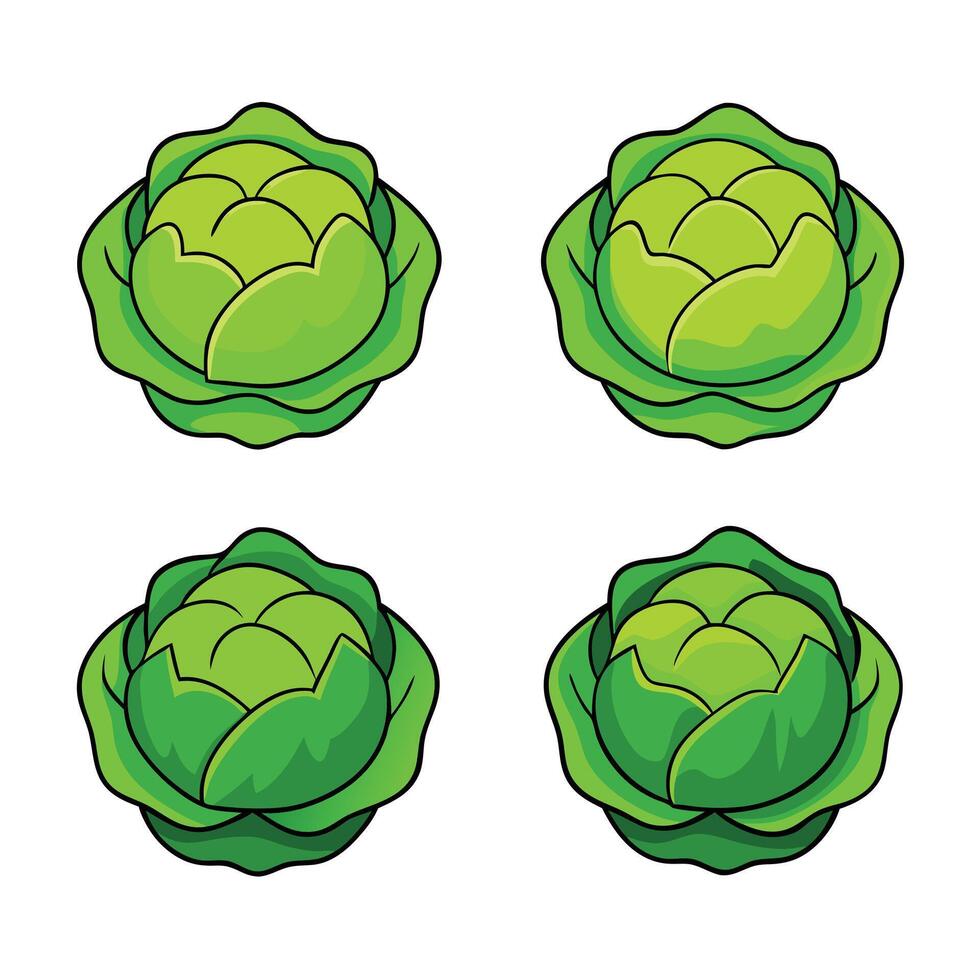 A set of four green cabbage heads vector