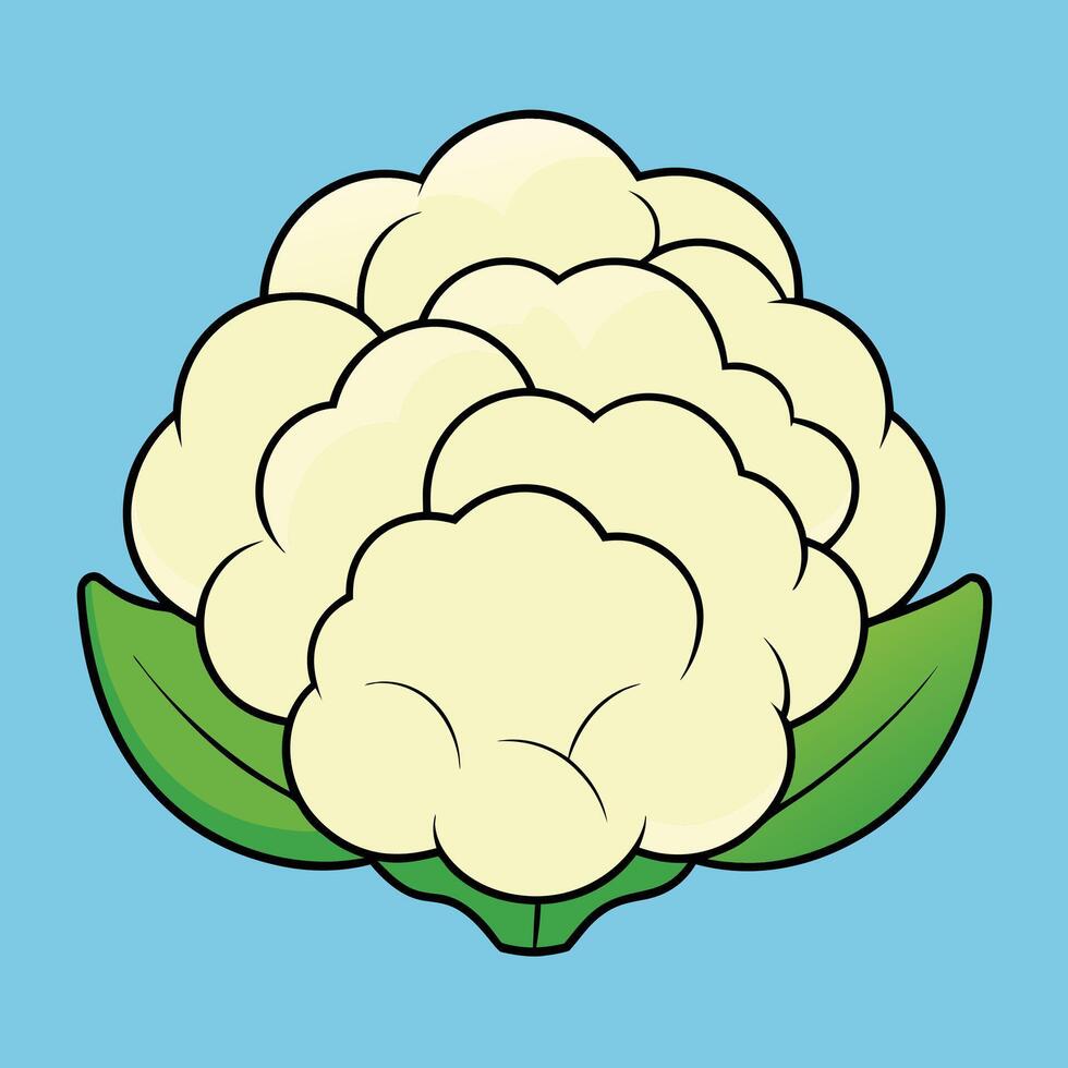 Cauliflower icon on blue background vector