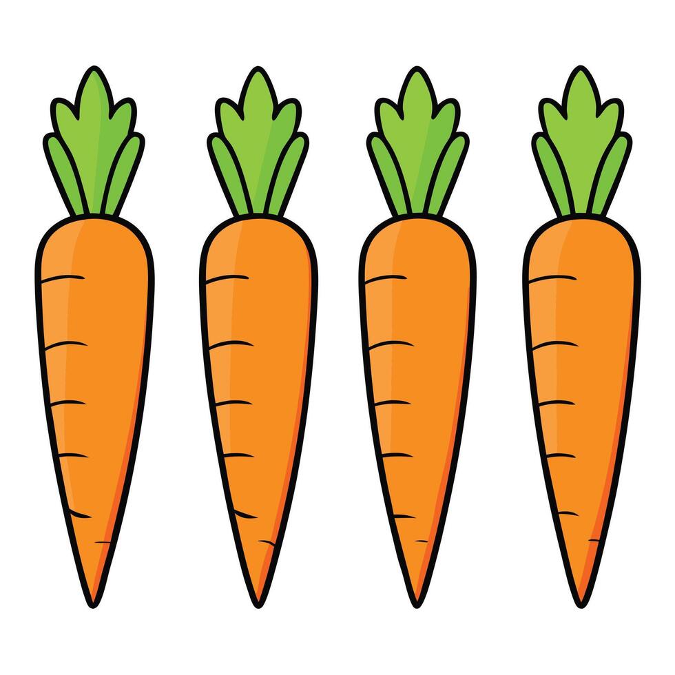 Carrots illustration white background vector